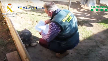 Cae en España una red que traficaba reptiles e intentaba introducirlos en Europa