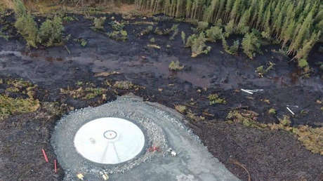 VIDEO: Un paisaje entero con árboles resbala por una ladera tras un deslizamiento de turba