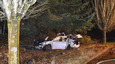 Un Tesla choca con tanta fuerza que las baterías acaban en viviendas cercanas (FOTOS)