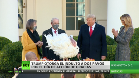 Trump da su último indulto a pavos por el Día de Acción de Gracias