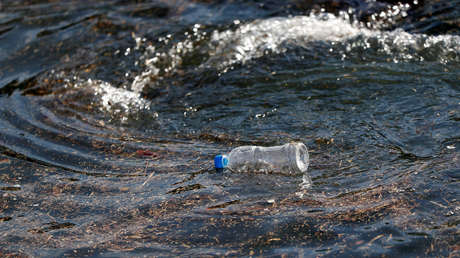 Para salvar los océanos: lanzan una cartera incrustada de piedras preciosas y hecha con piel de cocodrilo por un precio de 6 millones de euros