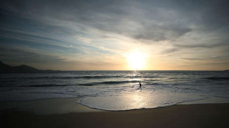 En una playa de Sudáfrica encuentran una rara especie marina conocida como 'dragón azul'