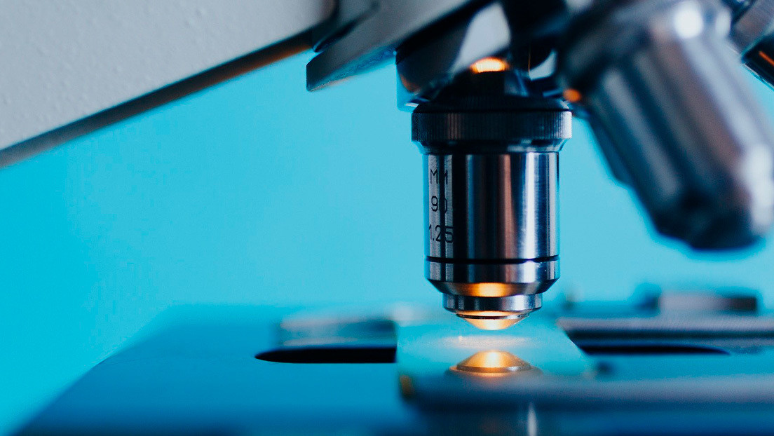 Desarrollan un microscopio capaz de ver a través de un cráneo intacto gracias a "tecnología de próxima generación"