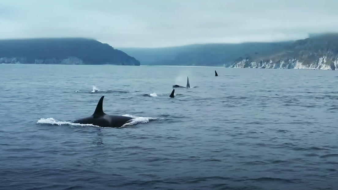 VIDEO: Rusia como nunca la había visto, en un cortometraje de menos de 7 minutos de un director alemán
