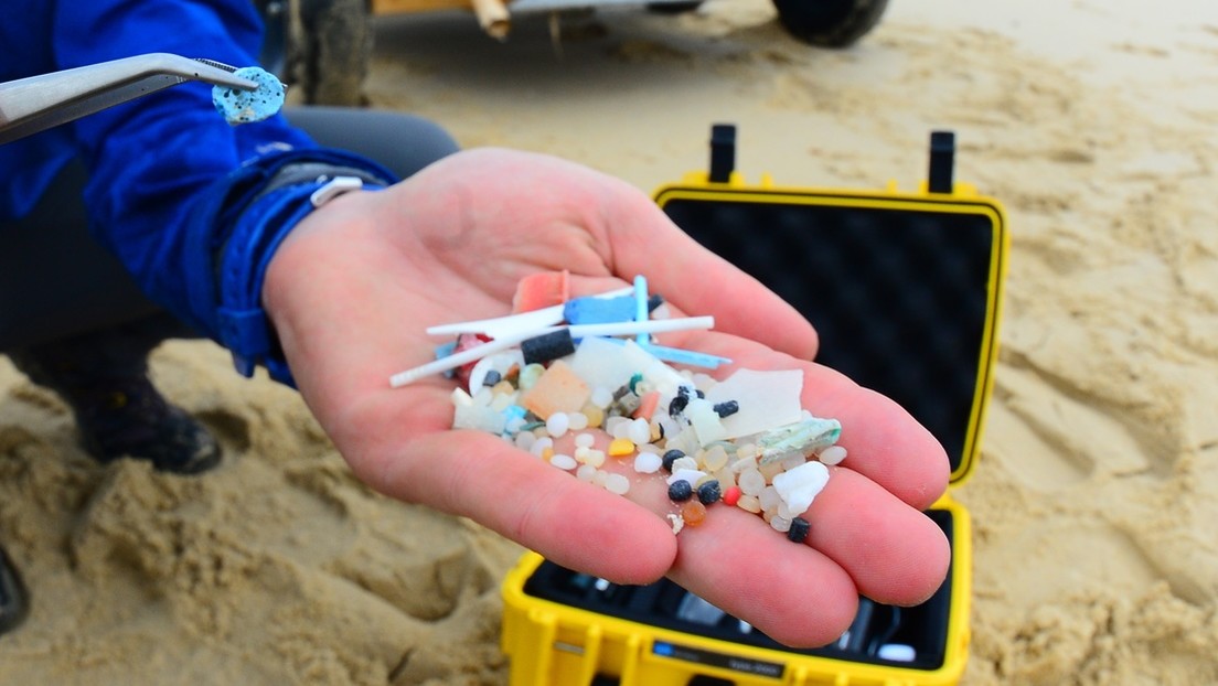 Encuentran por primera vez en una placenta humana microplásticos, cuya influencia en el desarrollo del feto todavía se desconoce