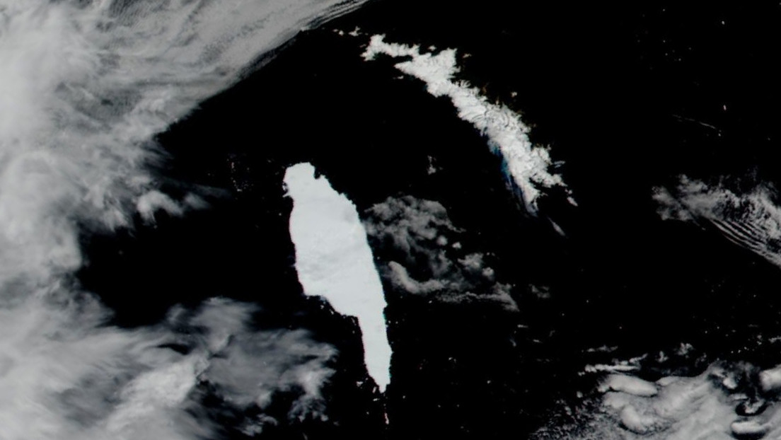 El iceberg más grande del mundo estaría a punto de chocar contra un santuario de pingüinos y focas