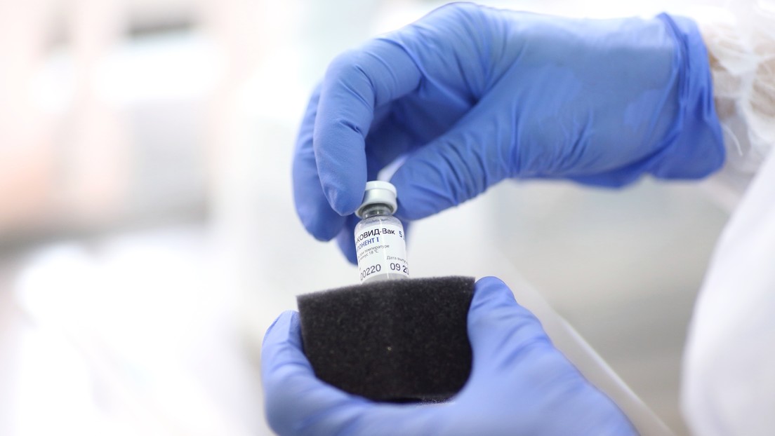 Director del Centro Gamaleya: "La 'vacuna light' contra el covid-19 no será efectiva por mucho tiempo, pero permitirá prevenir casos fatales graves"