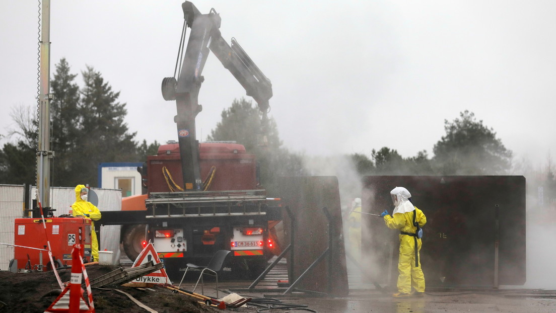 Dinamarca ordena exhumar e incinerar a millones de visones sacrificados por temor al coronavirus