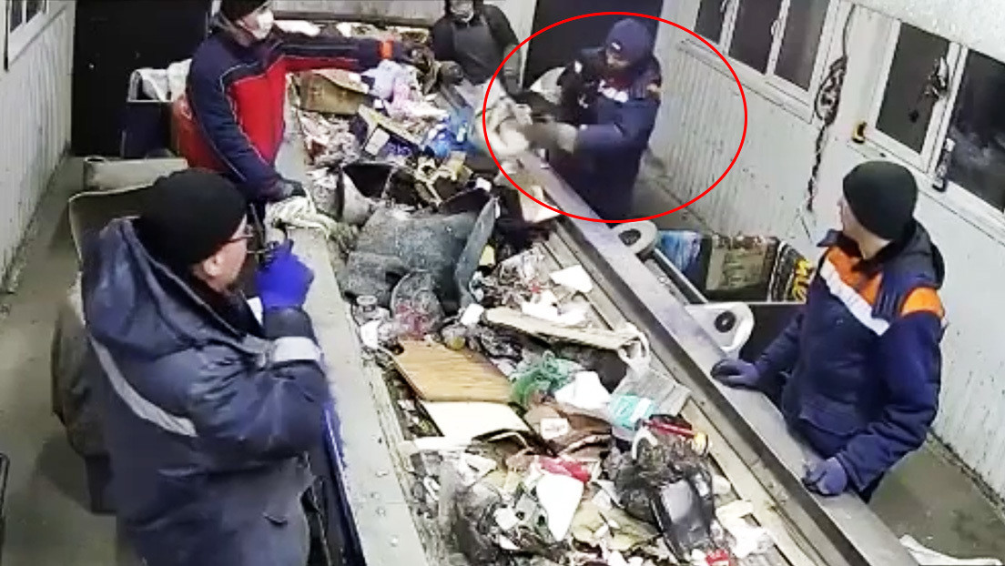 VIDEO: Un basurero salva a un gato de una muerte segura en una máquina separadora