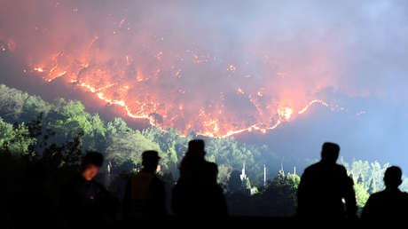 La ONU advierte que la humanidad libra una guerra "suicida" contra la naturaleza y pide "un salto cuántico" hacia la sostenibilidad en 2021