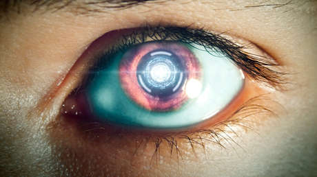 Instalan un implante en el cerebro de dos monos que les permite "ver" sin usar los ojos