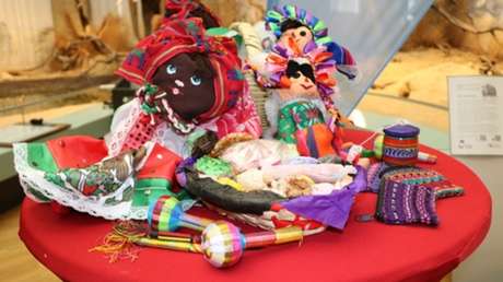 Interceptan en Alemania 26 reptiles raros enviados desde México cosidos en muñecos de tela (FOTOS)