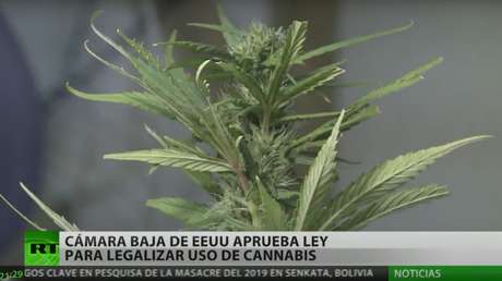 La Cámara de Representantes de EE.UU. aprueba ley para legalizar el uso del cannabis