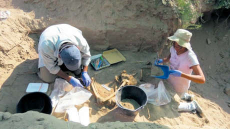 El Equipo Argentino de Antropología Forense busca muestras de ADN para identificar a 600 víctimas de la dictadura