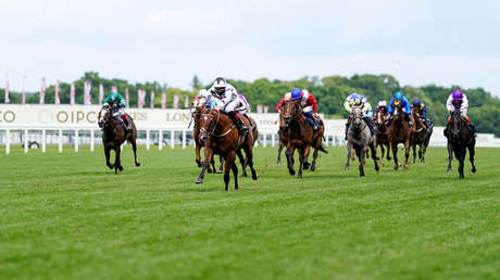 VIDEO: Jinete se cae y es arrollado por un caballo en plena carrera