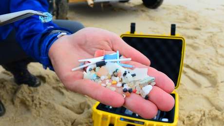 Encuentran por primera vez en una placenta humana microplásticos, cuya influencia en el desarrollo del feto todavía se desconoce