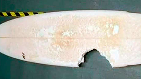 Muere un surfista que fue atacado por un tiburón en Hawái