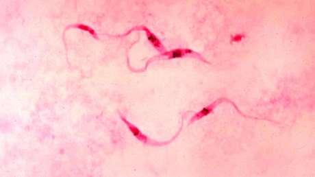 Descubren que un hombre que fue momificado en Texas hace más de 1.000 años tuvo una muerte lenta y terrible por estreñimiento extremo