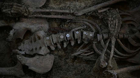 Hallan una fosa común con 10 mujeres fusiladas en la Guerra Civil española (FOTOS)