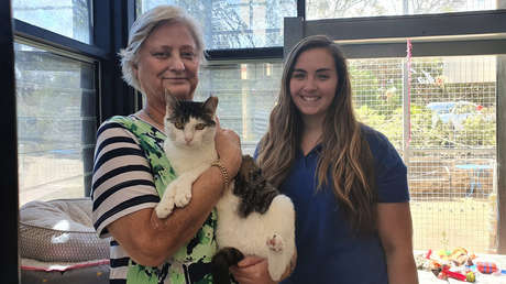 Encuentran un hogar para el 'gato bumerán' al que devolvieron a la protectora en varias ocasiones por mal comportamiento (VIDEO)