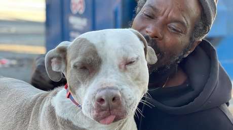 Se incendia un refugio de animales y un vagabundo rescata a todos los perros y gatos