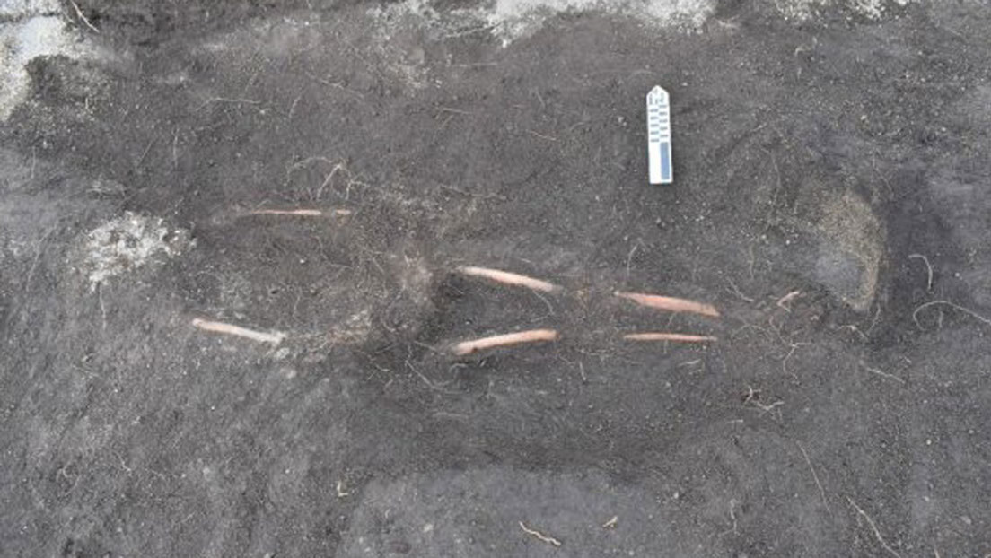 Encuentran esqueletos humanos y vasijas del periodo intercolonial con un extraño símbolo en una "cancha" inca en Ecuador (FOTOS)