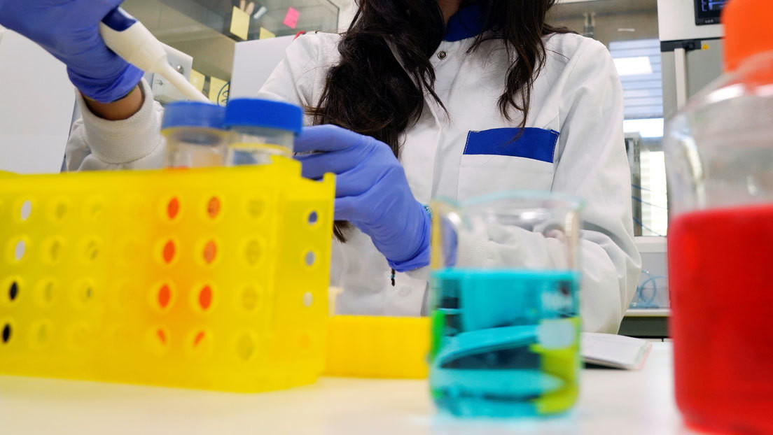 Científicos españoles desarrollan un fármaco que reduce casi al 100 % la carga viral del covid-19 en animales de laboratorio