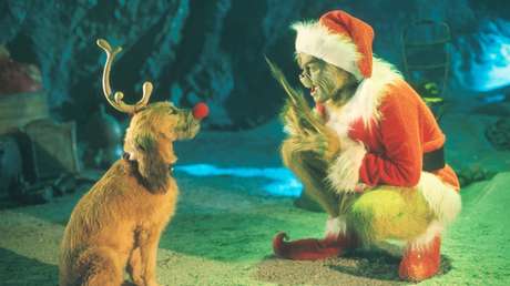 VIDEO: Grinch, el cachorro verde que nació la víspera de Año Nuevo en Georgia