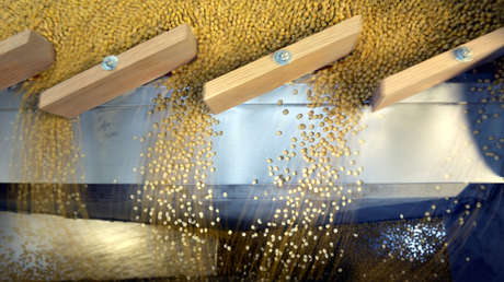 China albergará el mayor banco de semillas del mundo para potenciar la innovación en los cultivos