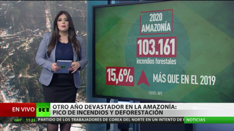 Otro año devastador para la Amazonía, con picos de incendios y deforestación