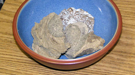 Pescador encuentra una 'roca' de vómito de cachalote y pretende venderlo por cientos de miles de dólares