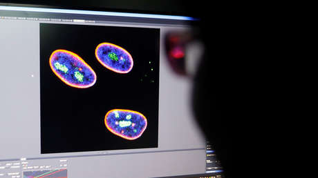 Científicos chinos proponen una terapia génica que aplaza el envejecimiento