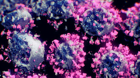 Un estudio concluye que los anticuerpos causados por otros coronavirus pueden ayudar a combatir el covid-19