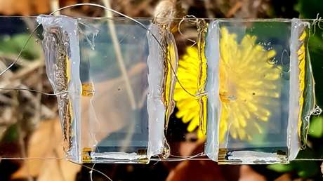 Científicos coreanos crean "paneles solares invisibles" que se pueden integrar en los teléfonos inteligentes