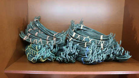 Descubren que Europa ya tenía una especie de divisa común hace 3.500 años