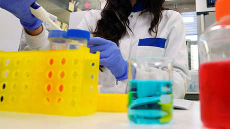 Científicos españoles desarrollan un fármaco que reduce casi al 100 % la carga viral del covid-19 en animales de laboratorio