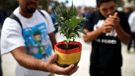 Más marihuana y alcohol y menos drogas psicodélicas: cómo es el consumo de sustancias en Argentina durante la pandemia