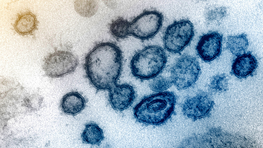 El volumen mundial de coronavirus cabría en una lata de refresco, según un matemático