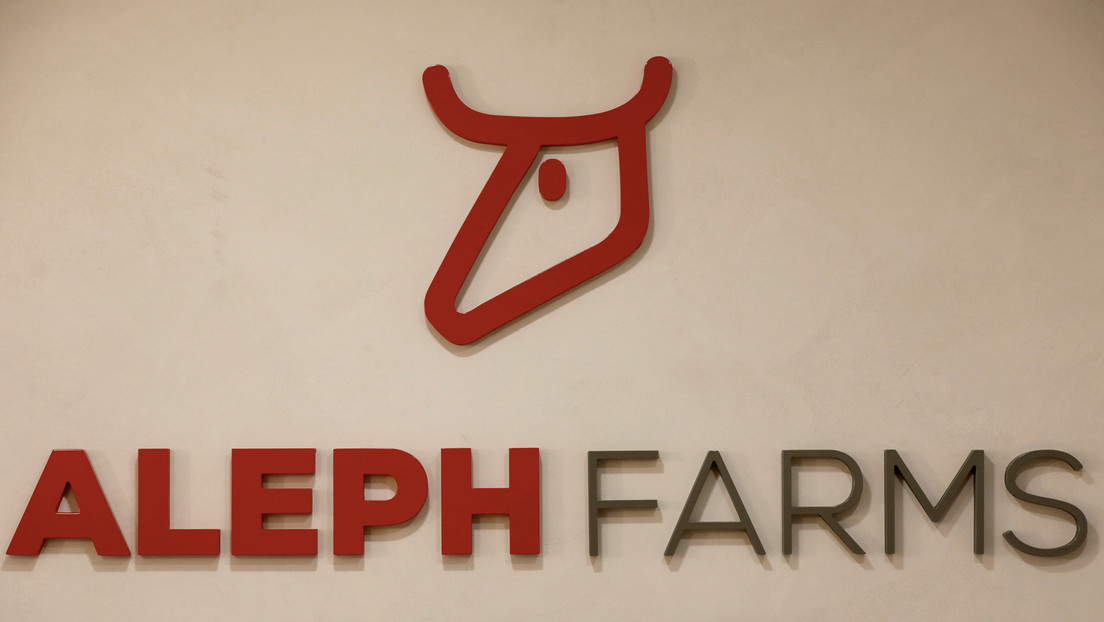 FOTO: Crean el primer ojo de bife del mundo impreso en 3D, sin recurrir a ingeniería genética o sacrificio