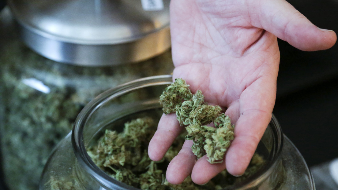 Este país europeo busca despenalizar el consumo personal de drogas