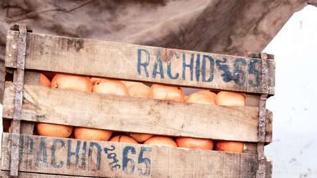4 viajeros chinos se comen 30 kilos de naranjas en menos de media hora para ahorrar en sobrepeso de equipaje