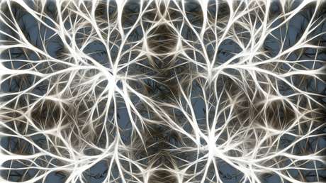 Planean utilizar células madre del cerebro humano para crear microchips más avanzados