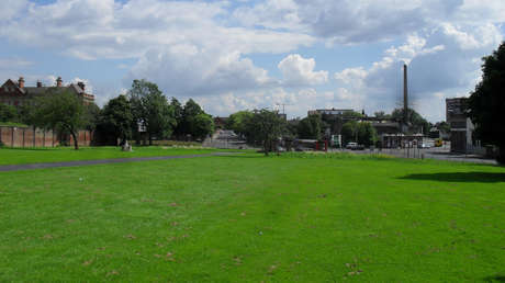 Pasea el perro por un parque y por poco cae a un antiguo cementerio con 80.000 tumbas