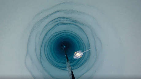 Científicos descubren accidentalmente organismos marinos debajo de la capa de hielo de la Antártida (y reconsideran los límites de vida en la Tierra)