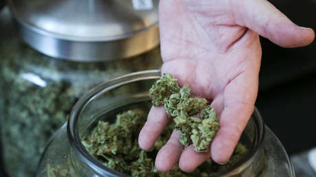 Este país europeo busca despenalizar el consumo personal de drogas