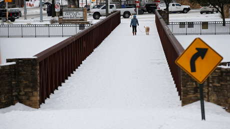 "¡En shock!": Encuentra su pecera congelada por la tormenta invernal en Texas e intentar revivir a sus mascotas (VIDEOS)