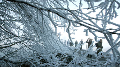 Como un bosque 'encantado': La ola de frío en el sureste de EE.UU. cubre de hielo los árboles de un pantano  (VIDEO)