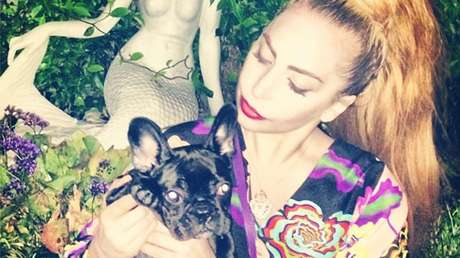 Reportan que el FBI investiga si hubo motivación política detrás del robo de dos bulldogs franceses de Lady Gaga