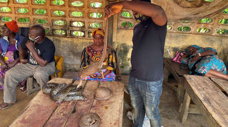 Revelan las deplorables condiciones de un mercado nigeriano donde comercian con animales vivos y muertos