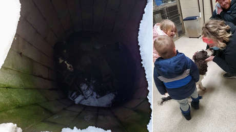 Rescatan de un pozo a un perro que pasó perdido 43 días a bajas temperaturas